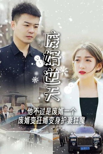 废婿逆天 poster
