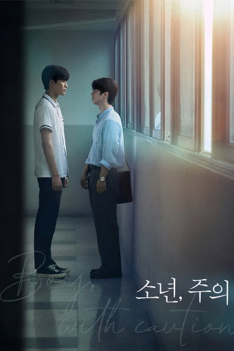소년, 주의