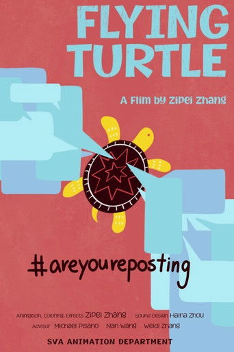 Flying Turtle poster
