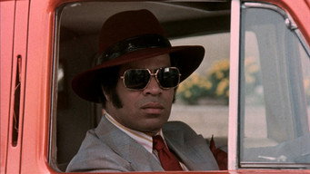 #4 The Candy Tangerine Man