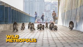 Wild Metropolis (2019- )