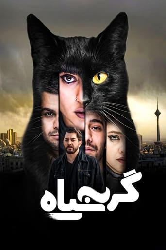 Poster of گربه سیاه