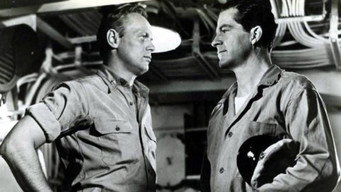 #6 The Frogmen