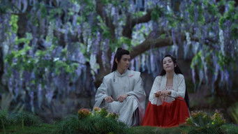 第22話：Confession Under the Shooting Star