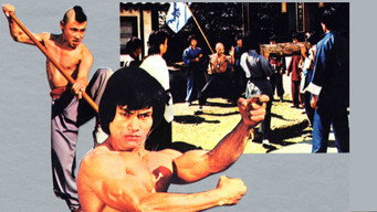 Guest Of Black Leopard (1977)