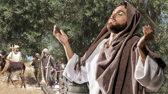 Where Jesus Walked (1995)