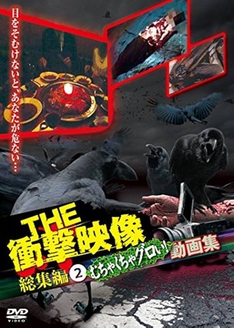 THE 衝撃映像 総集編(2)むちゃくちゃグロい!動画集 THE 衝撃映像 総集編(2)むちゃくちゃグロい!動画集
