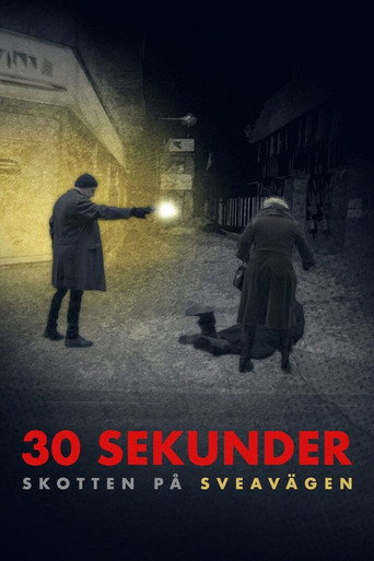 30 sekunder: Skotten p&aring; Sveav&auml;gen (2023)
