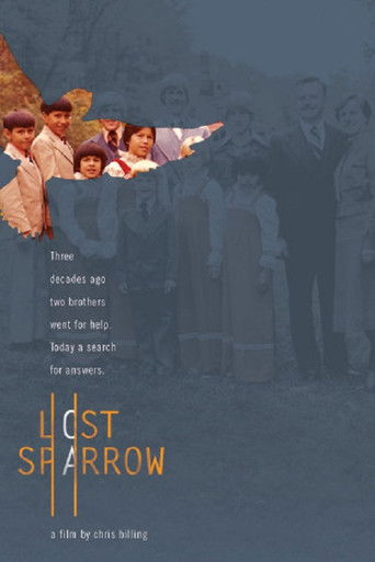Lost Sparrow poster
