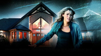 The Contractor (2013)