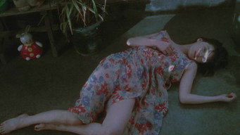 #27 Ластівковий Метелик