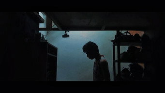 DAYLIGHT (2026)