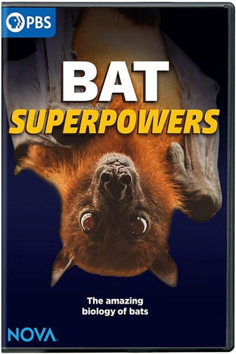 Bat Superpowers poster