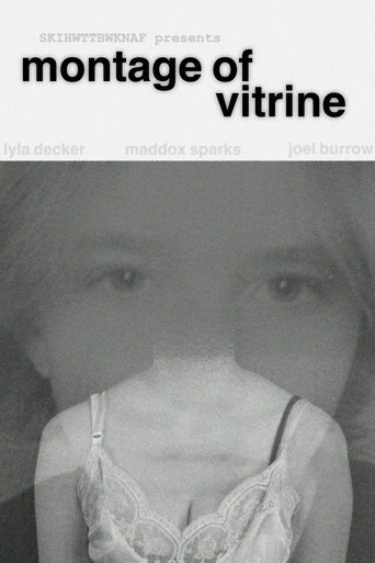 Montage of Vitrine (2026)