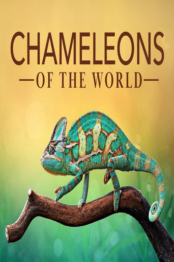 Chameleons of the World (2011年)のポスター画像 - FindKey