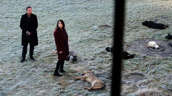 第4話：W&ouml;lfe