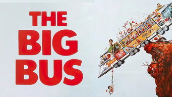 #4 The Big Bus