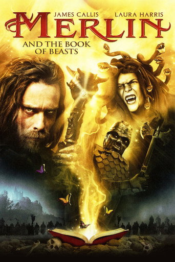 Poster 10