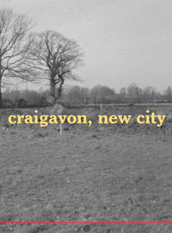 Craigavon, new city