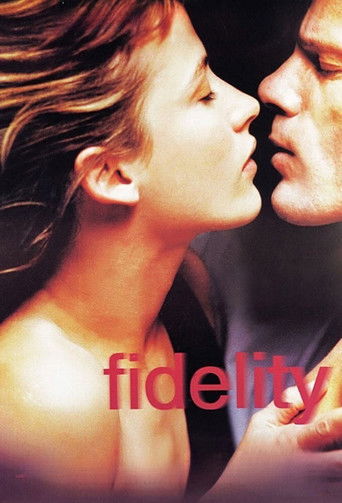 Fidelity poster 7