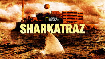 #5 Sharkatraz
