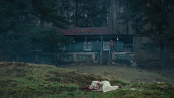 #12 She Will