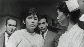 Поліцейська історія: Зізнання (1964)