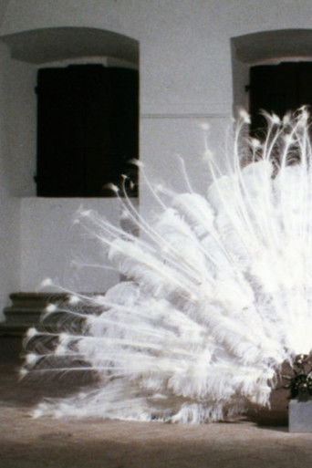 La Ferdinanda. Sonate für eine Medici-Villa