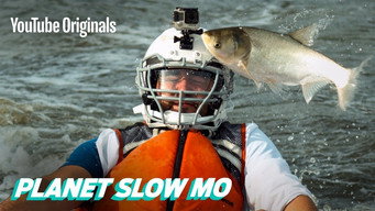 Flying Fish to the Face in Slow Motion