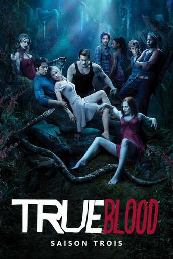 True Blood - S3 - Épisode 4 : Neuf crimes - Affiche
