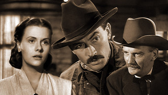 #8 The Gunfighter