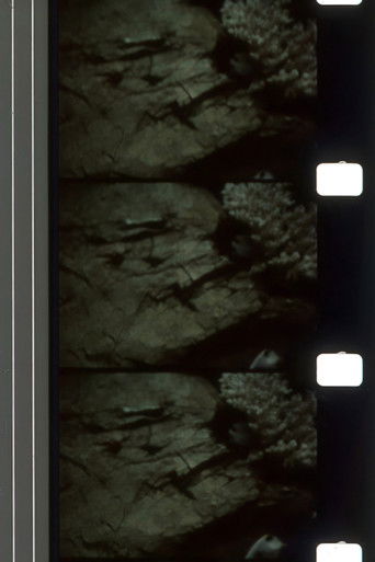 Whispers Delaying Grace