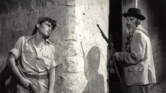 Hill 24 Doesn't Answer (1955)