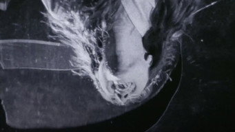 #8 XX: Beautiful Prey