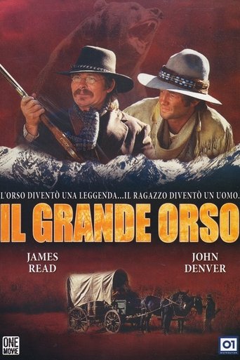Il grande orso