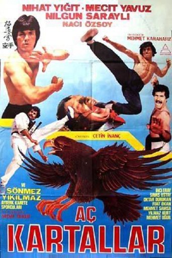 Aç Kartallar movie poster Aç Kartallar Movie Poster