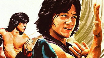 Drunken Master backdrop 7