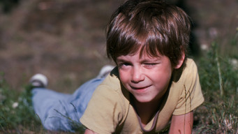 Dagar med Knubbe (1978)