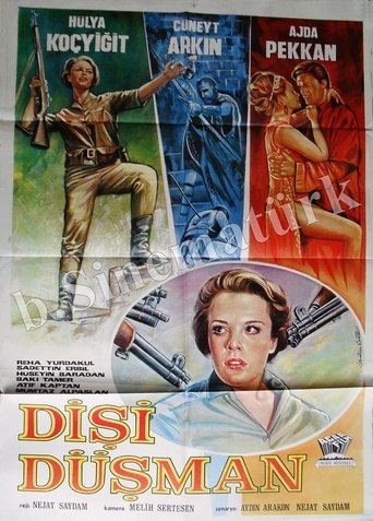 Dişi Düşman
