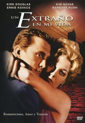 Poster of Un Extraño En Mi Vida