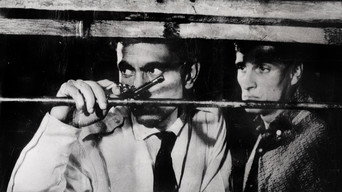 Zimba gibi delikanli (1964)