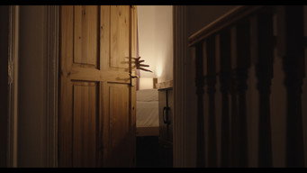 Midnight Perturbation (2024)