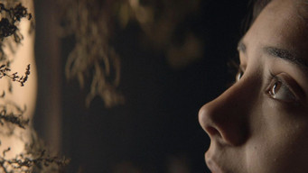 Galeria 5 - Brujería