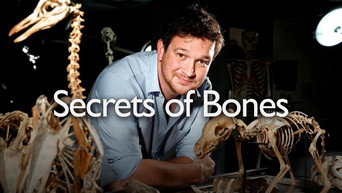 Secrets of Bones (2014)