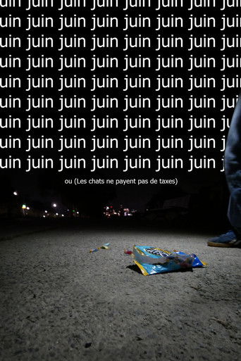 Juin ou  (Les chats ne payent pas de taxes) (2025)