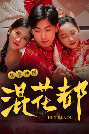 妖孽神医混花都 poster