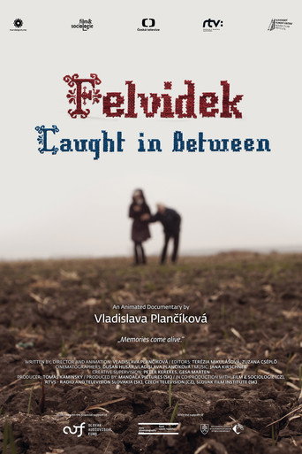Felvidek &ndash; Caught in Between (2014)