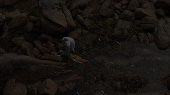 Red Moon Tide (2020)