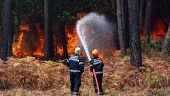 Sauvons nos Forêts (2026)