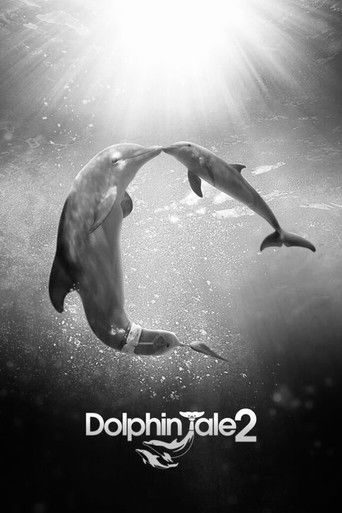 Dolphin Tale 2 poster 8